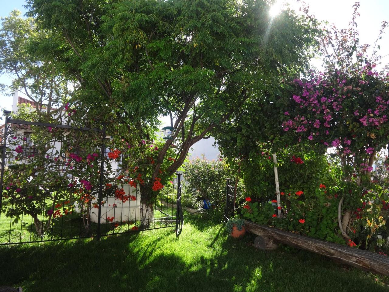 El Jardin De Su Merced B&B Sucre Buitenkant foto